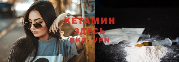 сатива Семилуки