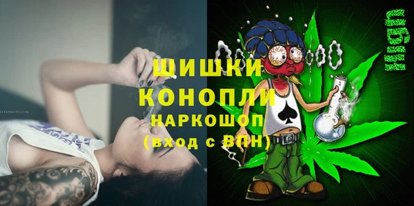 гашик Белоозёрский