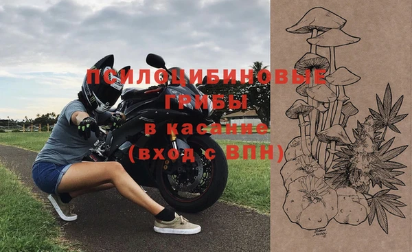 гашик Белоозёрский