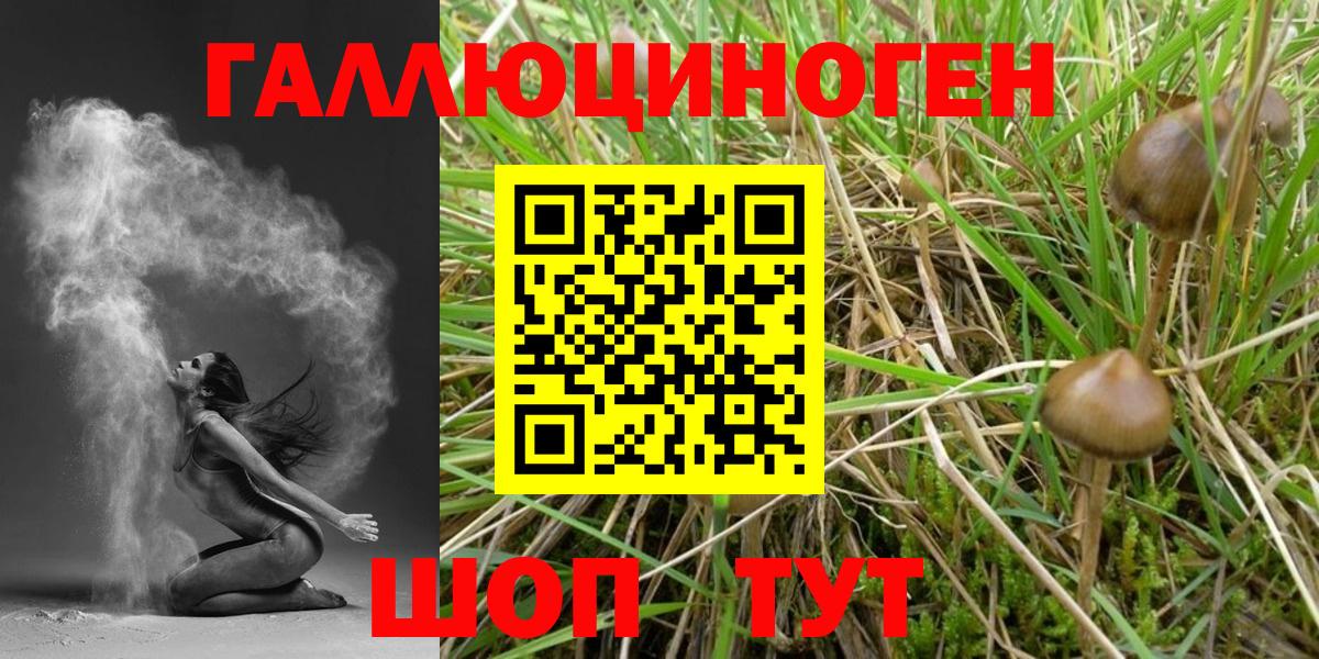 Псилоцибиновые грибы мухоморы Кувандык