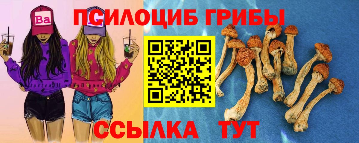 Галлюциногенные грибы ЛСД  Вход с VPN  Галлюциногенные грибы мицелий  Кувандык 